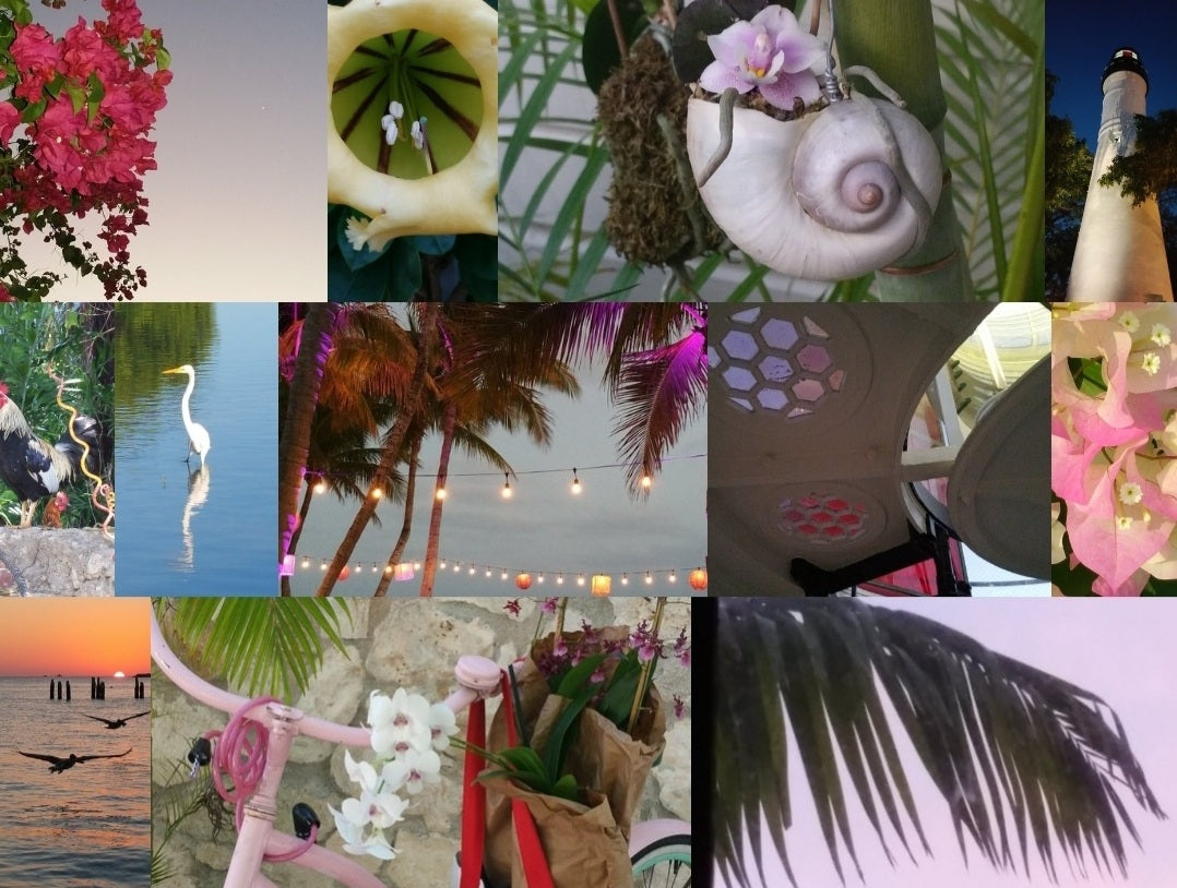 Hemingway's Cats: a haiku story book *hard and soft cover versions*