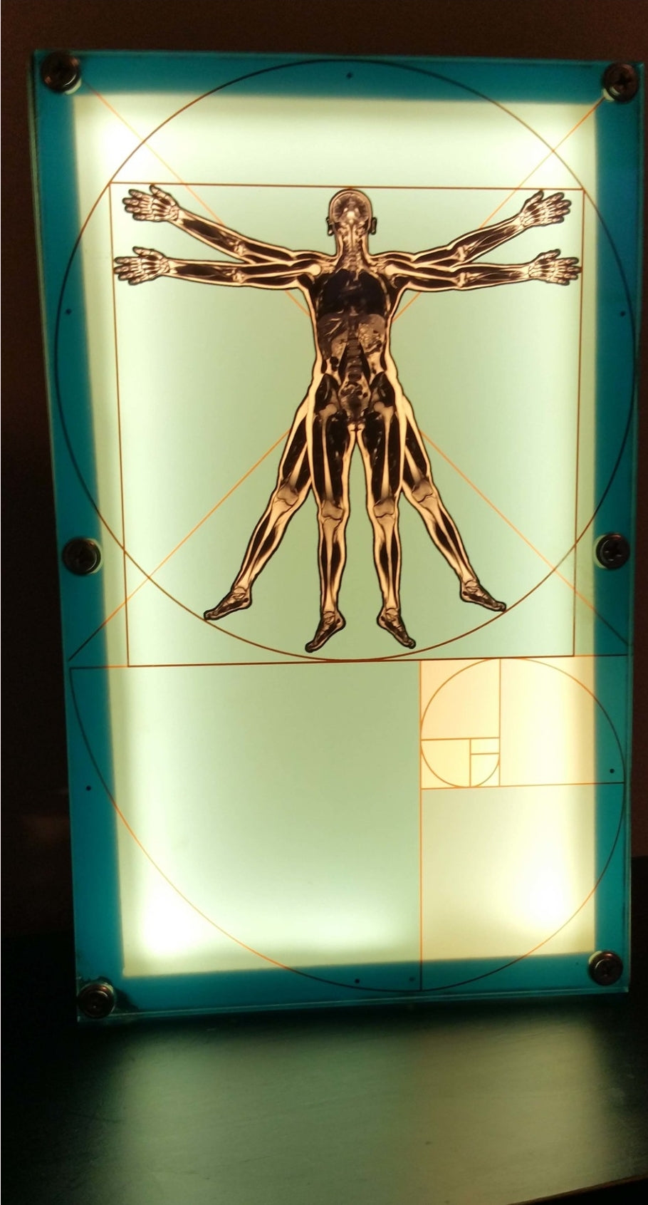 XCustom LED Illumination Art Panels