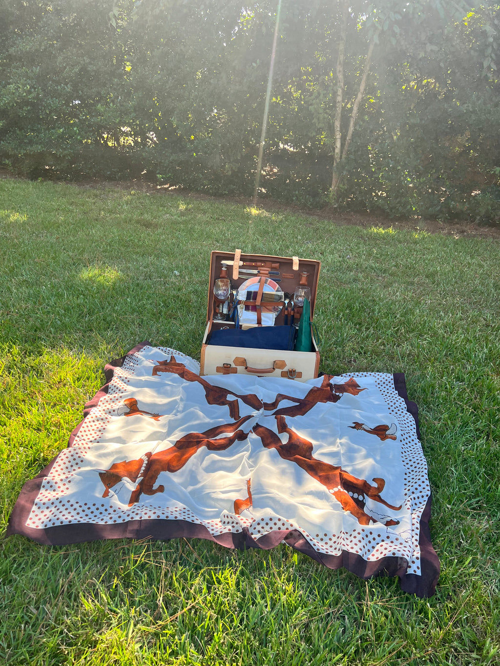 53 x 53 inch square 70% Organic Cotton 30% Silk Racing Fox with Pearls