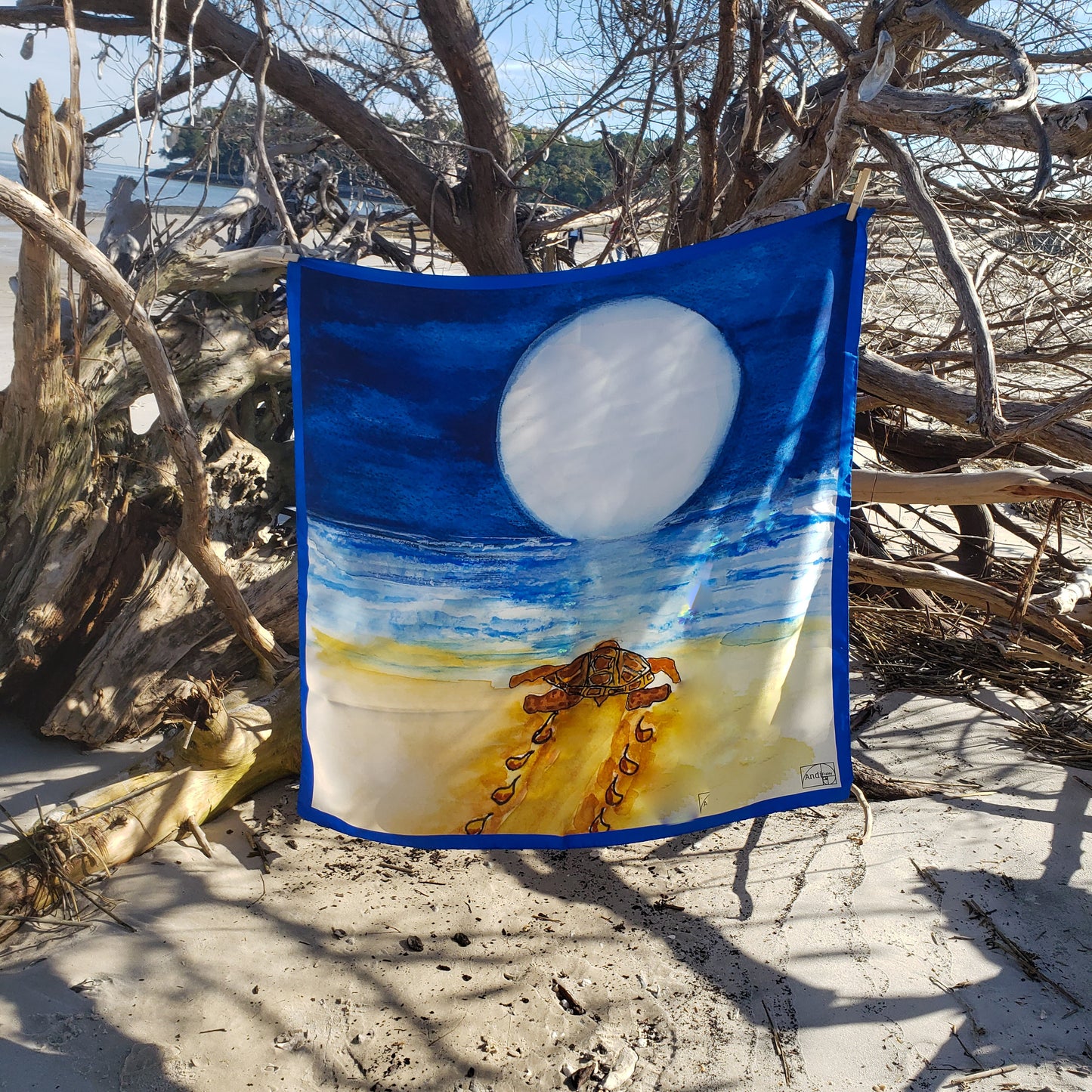 Sharley the Sea Turtle a haiku story about Love of Sea Turtle Conservation by Andi Fraley * hard cover version